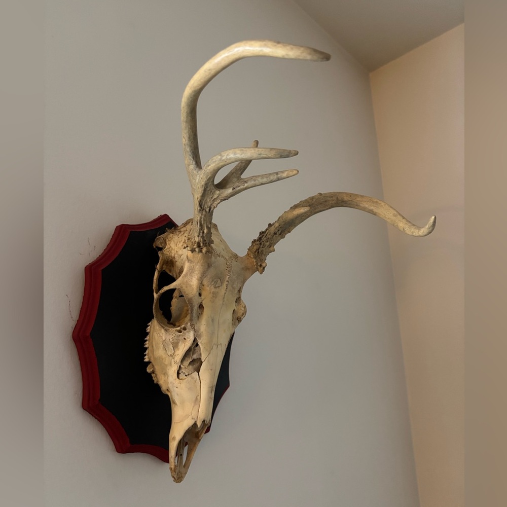 🚨🌟HOST PICK! 🚨🌟Rustic Antler Wall Decor with Red and Black Plaque